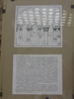 img 9263