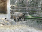 Veszprem 2008 188