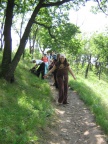 IMG 7837