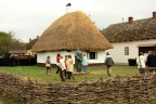 IMG 8953