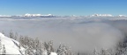 IMG 20230126 114751