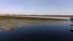 IMG 20240727 081705
